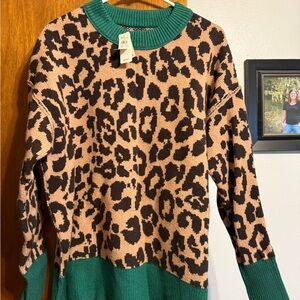 Aerie Leopard Print Sweater with Green Details